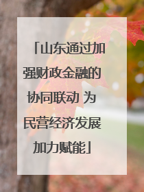 山东通过加强财政金融的协同联动 为民营经济发展加力赋能