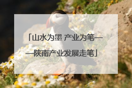 山水为墨 产业为笔——陕南产业发展走笔