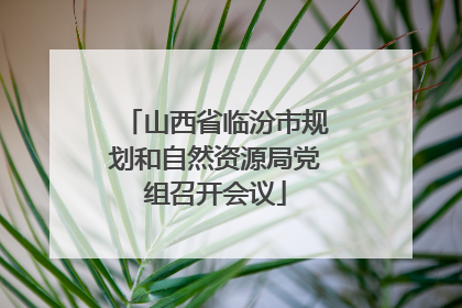 山西省临汾市规划和自然资源局党组召开会议
