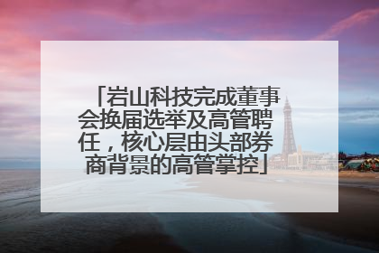 岩山科技完成董事会换届选举及高管聘任，核心层由头部券商背景的高管掌控