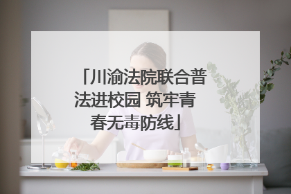 川渝法院联合普法进校园 筑牢青春无毒防线