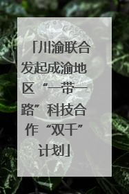 川渝联合发起成渝地区“一带一路”科技合作“双千”计划