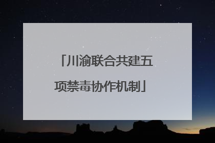 川渝联合共建五项禁毒协作机制