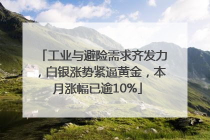 工业与避险需求齐发力，白银涨势紧逼黄金，本月涨幅已逾10%