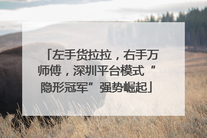 左手货拉拉，右手万师傅，深圳平台模式“隐形冠军”强势崛起