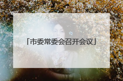 市委常委会召开会议