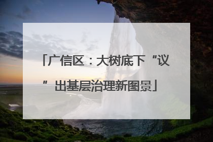 广信区：大树底下“议”出基层治理新图景