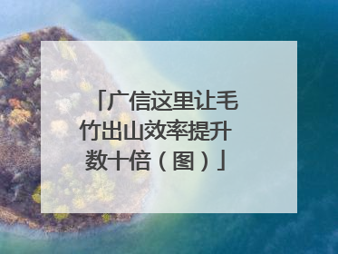 广信这里让毛竹出山效率提升数十倍（图）