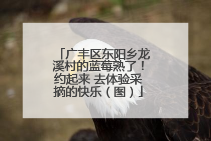广丰区东阳乡龙溪村的蓝莓熟了！约起来 去体验采摘的快乐（图）