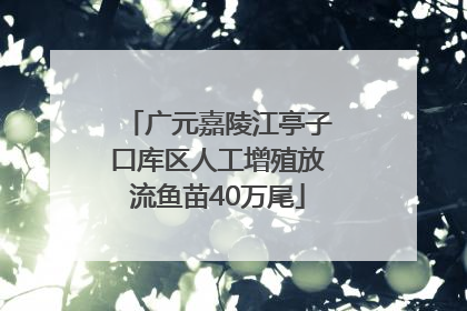 广元嘉陵江亭子口库区人工增殖放流鱼苗40万尾