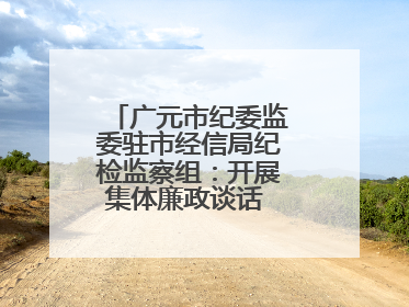 广元市纪委监委驻市经信局纪检监察组：开展集体廉政谈话 敲响廉政警钟