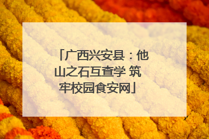 广西兴安县：他山之石互查学 筑牢校园食安网