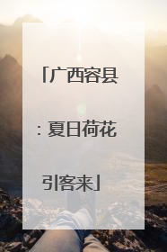 广西容县：夏日荷花引客来