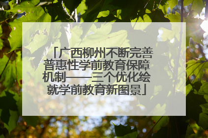 广西柳州不断完善普惠性学前教育保障机制——三个优化绘就学前教育新图景