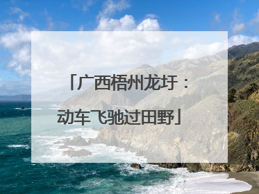 广西梧州龙圩：动车飞驰过田野