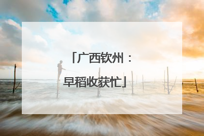广西钦州：早稻收获忙
