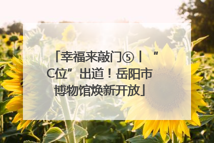 幸福来敲门⑤丨“C位”出道！岳阳市博物馆焕新开放