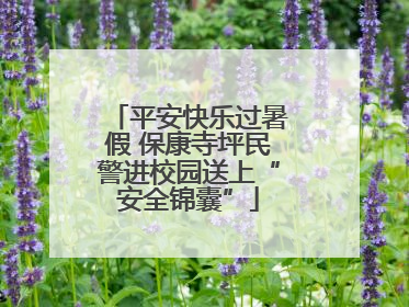 平安快乐过暑假 保康寺坪民警进校园送上“安全锦囊”