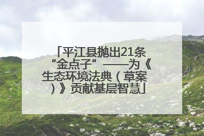平江县抛出21条“金点子”——为《生态环境法典（草案）》贡献基层智慧