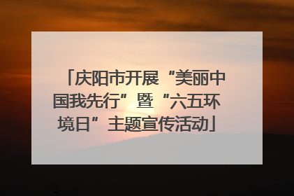 庆阳市开展“美丽中国我先行”暨“六五环境日”主题宣传活动