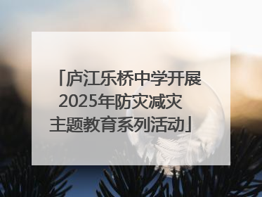 庐江乐桥中学开展2025年防灾减灾主题教育系列活动