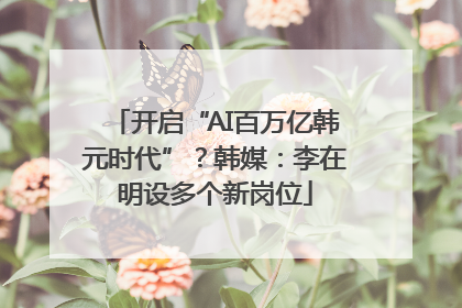 开启“AI百万亿韩元时代”？韩媒：李在明设多个新岗位