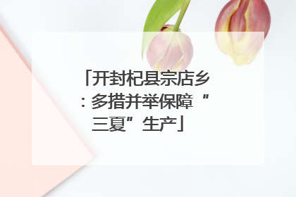 开封杞县宗店乡：多措并举保障“三夏”生产