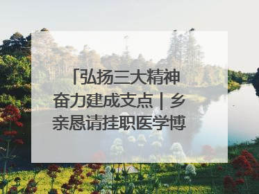 弘扬三大精神 奋力建成支点｜乡亲恳请挂职医学博士再留一年