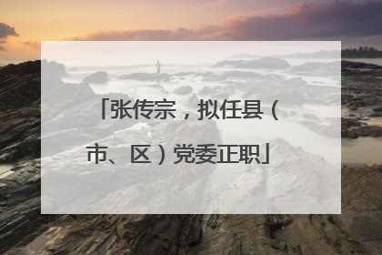 张传宗，拟任县（市、区）党委正职