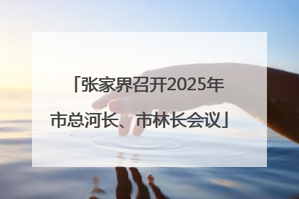 张家界召开2025年市总河长、市林长会议