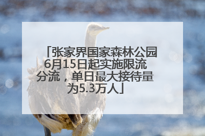 张家界国家森林公园6月15日起实施限流分流，单日最大接待量为5.3万人