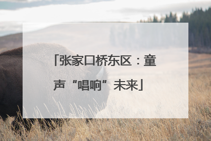 张家口桥东区：童声“唱响”未来