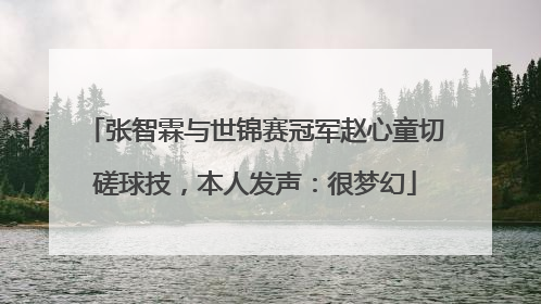张智霖与世锦赛冠军赵心童切磋球技，本人发声：很梦幻