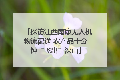 探访江西南康无人机物流配送 农产品十分钟“飞出”深山