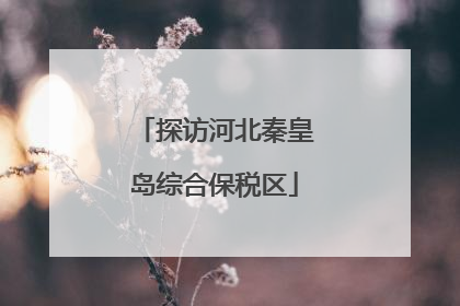 探访河北秦皇岛综合保税区