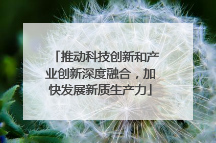 推动科技创新和产业创新深度融合，加快发展新质生产力