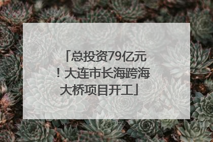 总投资79亿元！大连市长海跨海大桥项目开工