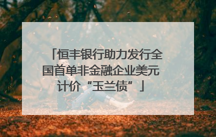 恒丰银行助力发行全国首单非金融企业美元计价“玉兰债”