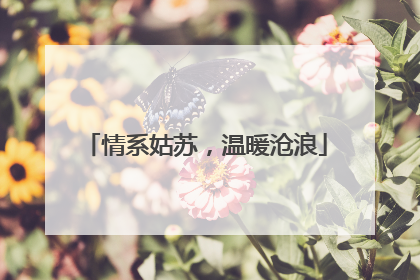 情系姑苏，温暖沧浪