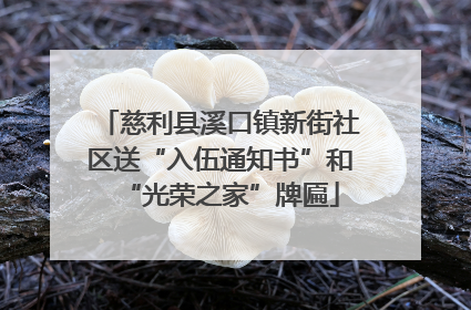慈利县溪口镇新街社区送“入伍通知书”和“光荣之家”牌匾