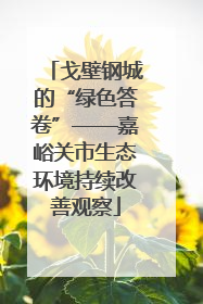 戈壁钢城的“绿色答卷”——嘉峪关市生态环境持续改善观察