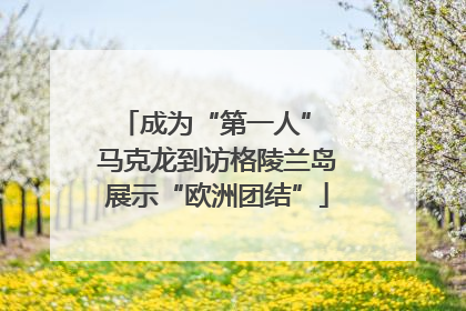 成为“第一人” 马克龙到访格陵兰岛展示“欧洲团结”