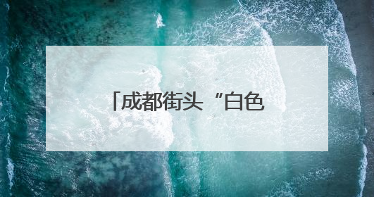 成都街头“白色飞絮”真相：它是朴绵叶蚜！