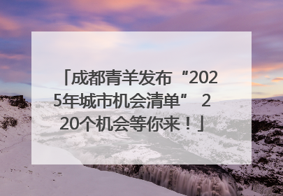 成都青羊发布“2025年城市机会清单” 220个机会等你来！