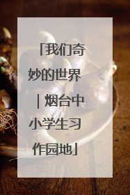 我们奇妙的世界｜烟台中小学生习作园地