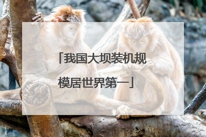 我国大坝装机规模居世界第一