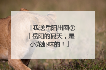 我送岳阳出圈⑦丨岳阳的夏天，是小龙虾味的！