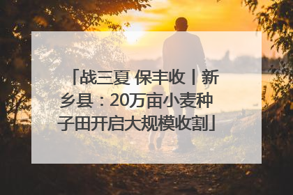 战三夏 保丰收丨新乡县：20万亩小麦种子田开启大规模收割