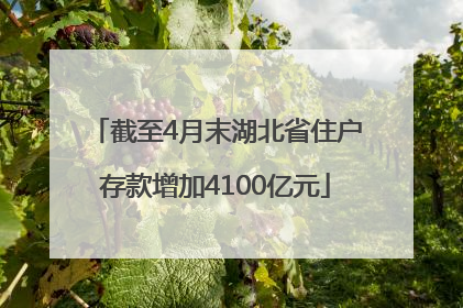 截至4月末湖北省住户存款增加4100亿元