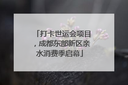打卡世运会项目，成都东部新区亲水消费季启幕